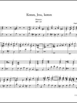 Komm, Jesu, komm BWV 229