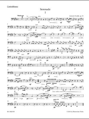 Serenade for String Orchestra in E major op. 22